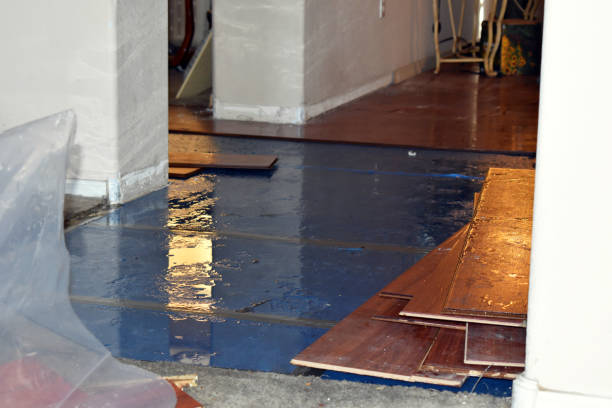 Professional Burst Pipe Cleanup technician working in Blounts Creek, NC
